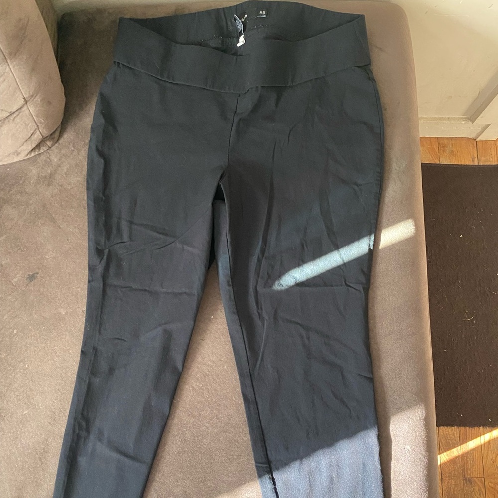 Torrid ponte pants